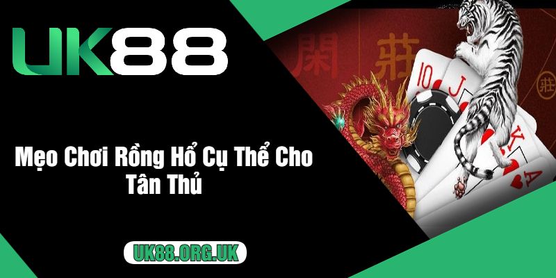 Mẹo Chơi Rồng Hổ Cụ Thể Cho Tân Thủ